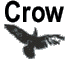 Crow Language